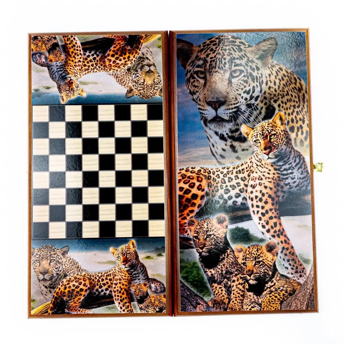 ����� 50�� �������