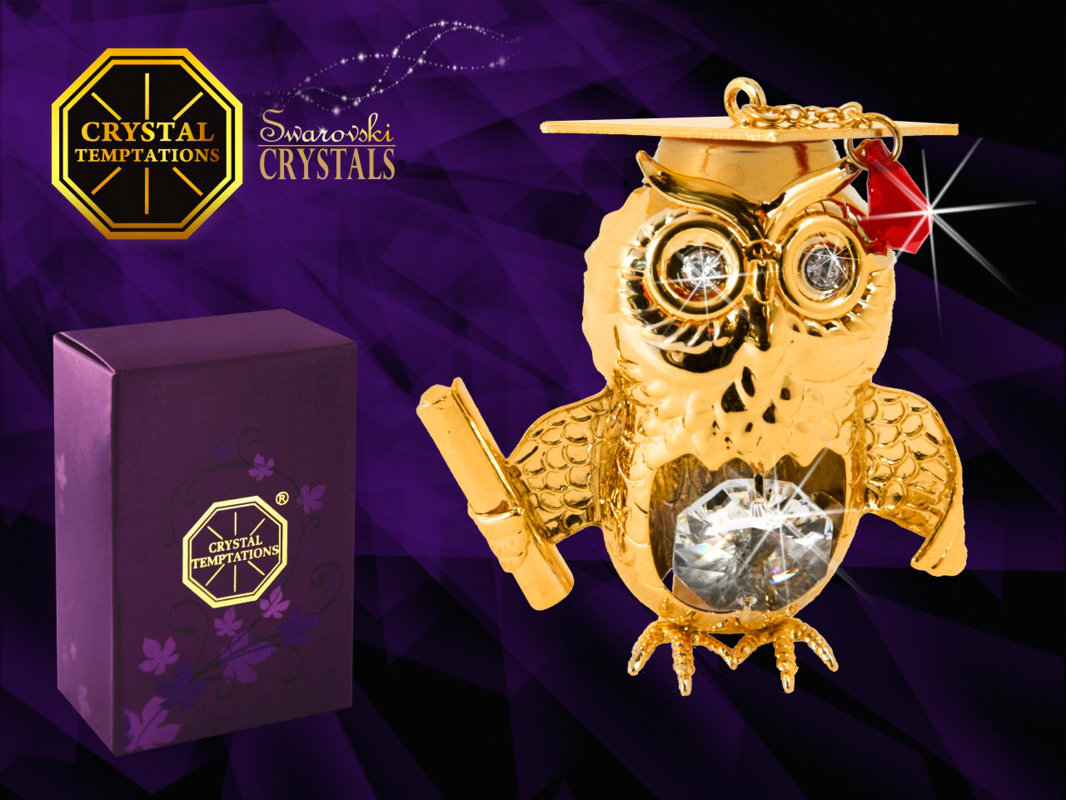 Символ мудрости Сова с кристаллами Swarovski 