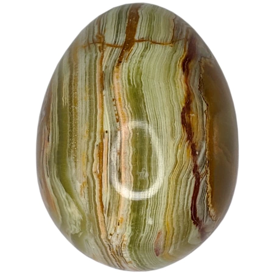 ���� �� ��������� 8 ��. ������� �� ������� ���������� ����� 