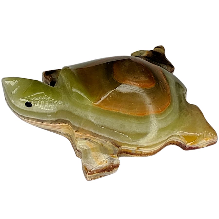 �������� �� ������ ������� �������� 5 ��.