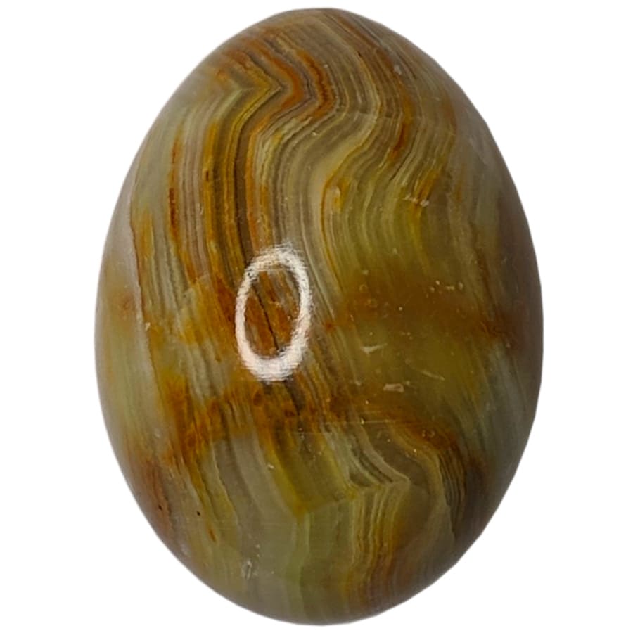 ���� �� ���������� ������ �� ��������� 