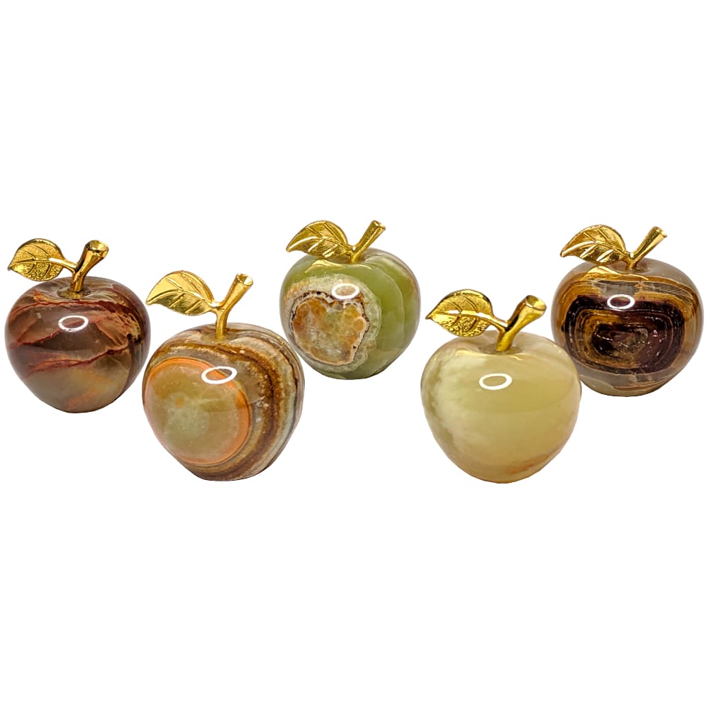 ����� 6 ������� �� ������ �� 4 �� 80 �����. 